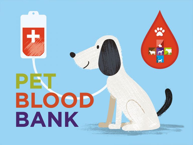 Pet blood bank Daleside Vets